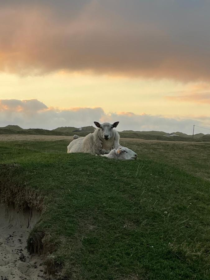 Fresh Hytte Ved Borestranden Med To Soverom Og Hems Klepp 외부 사진